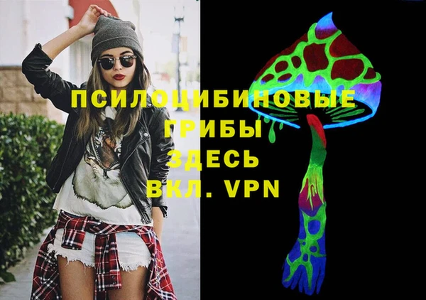 прущий лед Аркадак