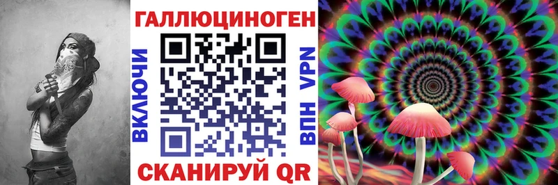 маркетплейс наркотические препараты Зубцов Псилоцибиновые грибы Cubensis